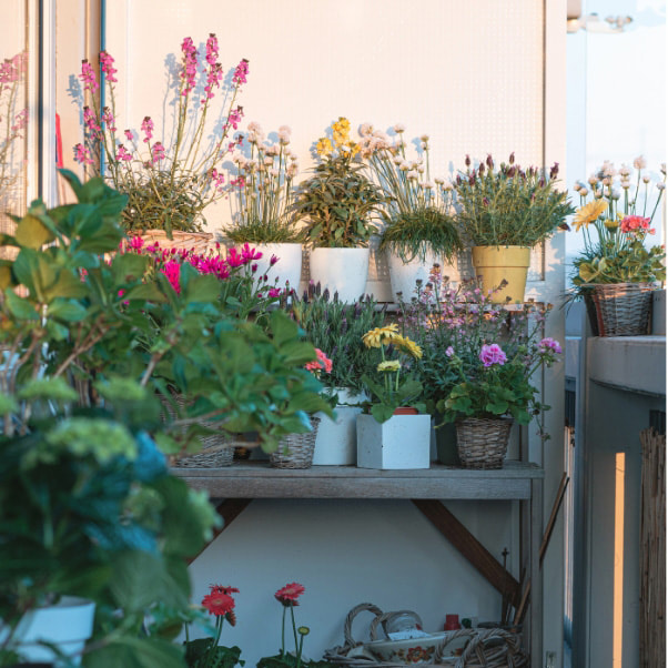 Balkon Einrichtung mit Pflanzen
